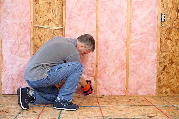 Best Energy Efficiency Insulation in Difficult Run, VA